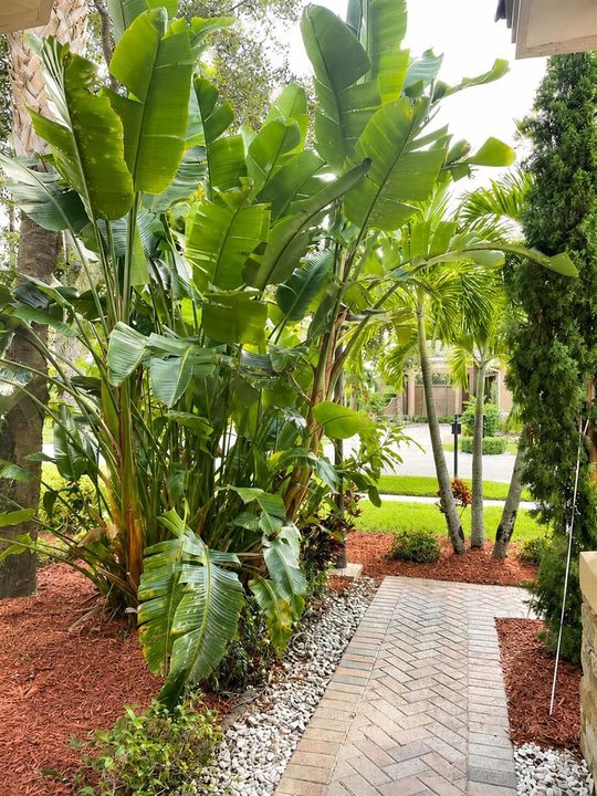 Sidewalk to house