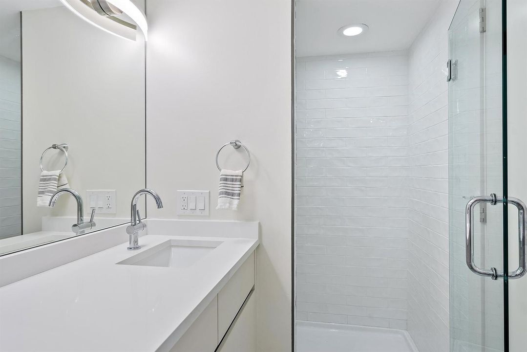 Primary Shower