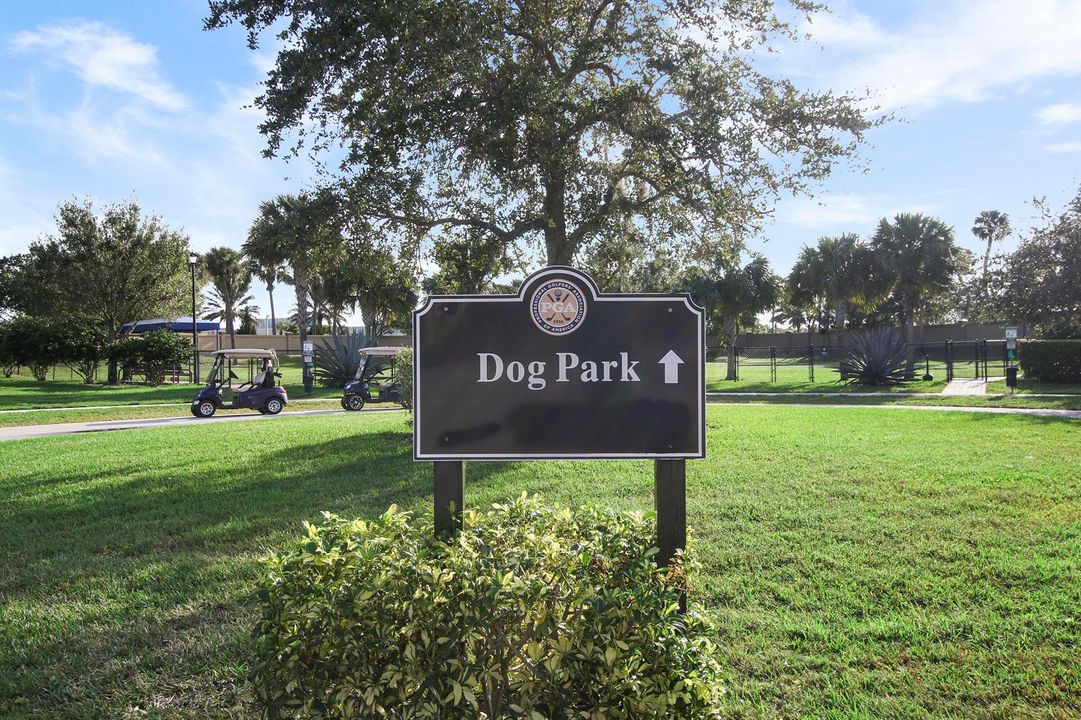 Dog Park