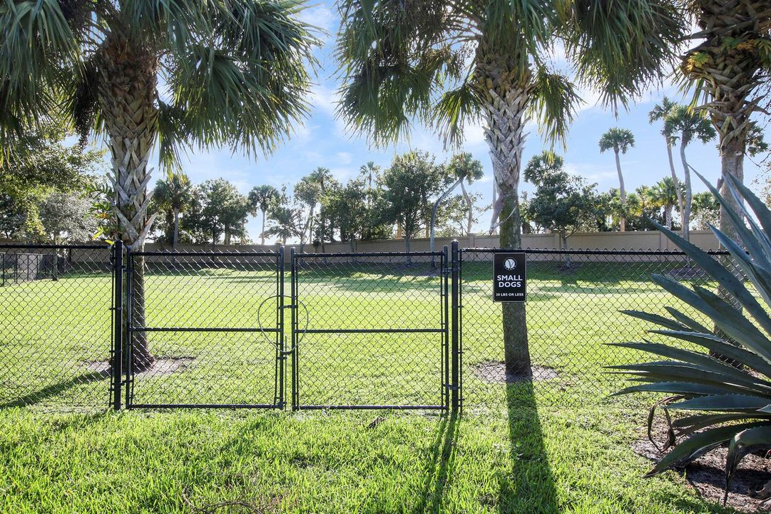 Dog Park II