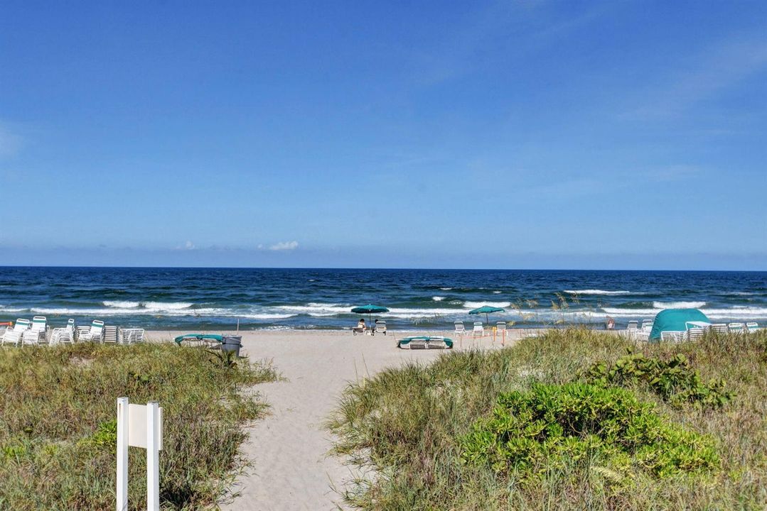 100-web-or-mls-Sea Ranch (29)