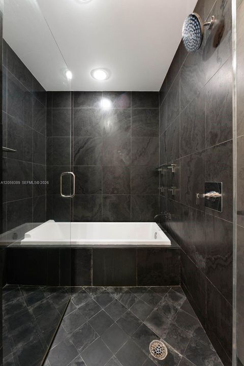 Primary Shower