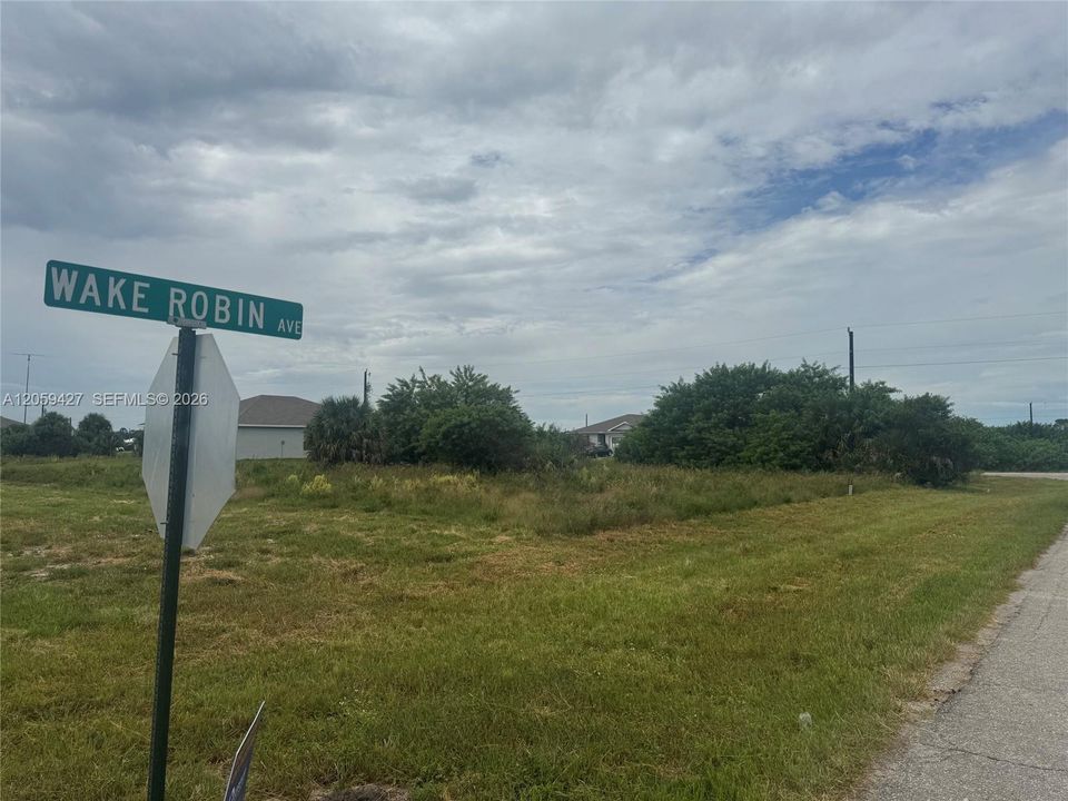 待售: $42,500 (0.35 acres)
