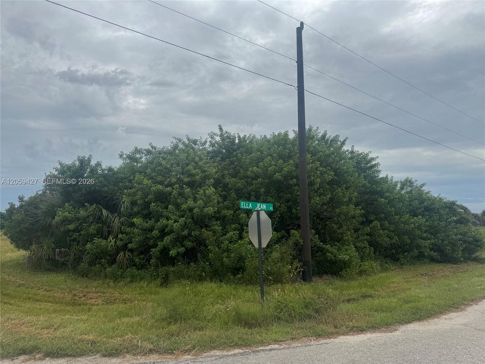 待售: $42,500 (0.35 acres)