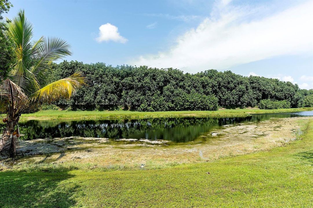 875 Bayside Lane weston FL- - 057