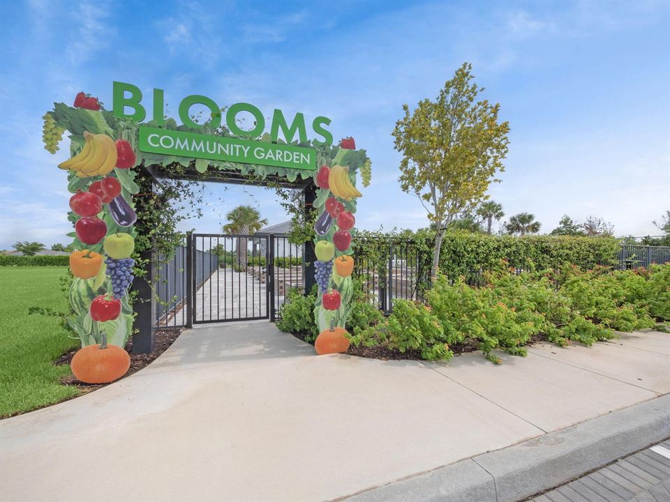 Community Amenities
