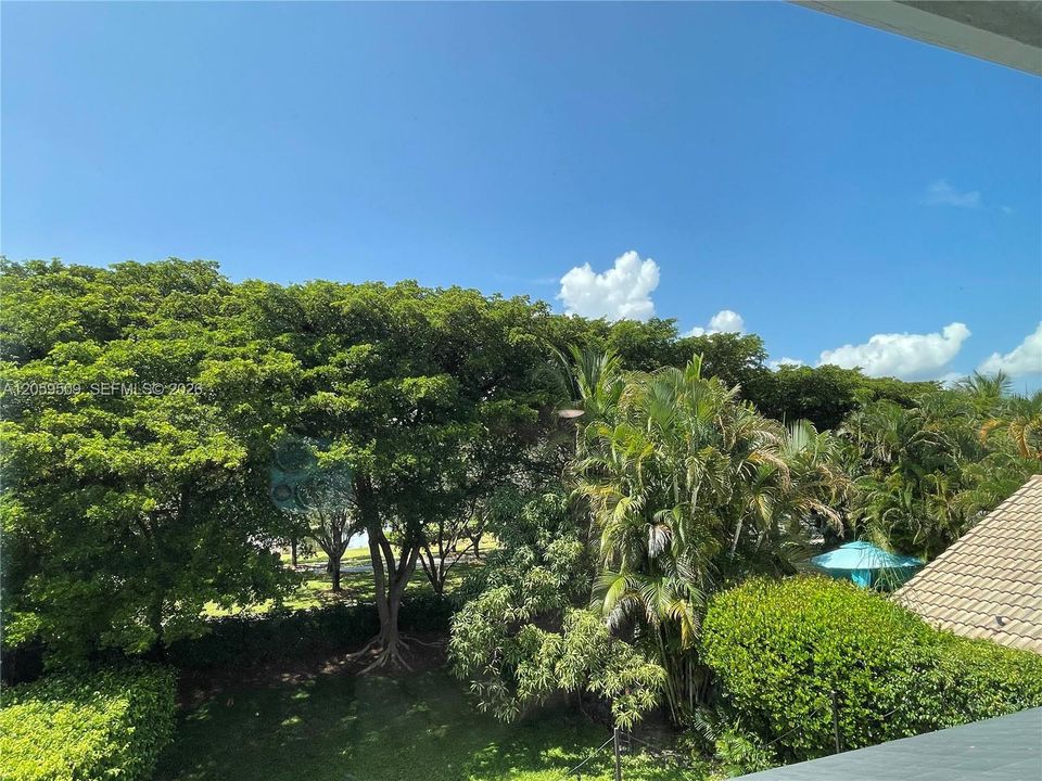 Primary Bedroom View
