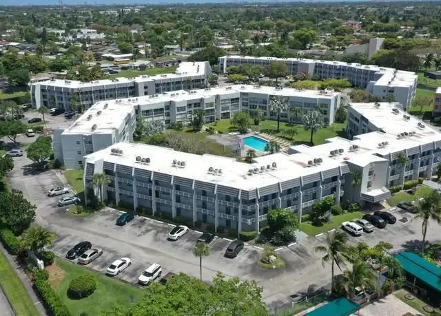 RoyalPalm4