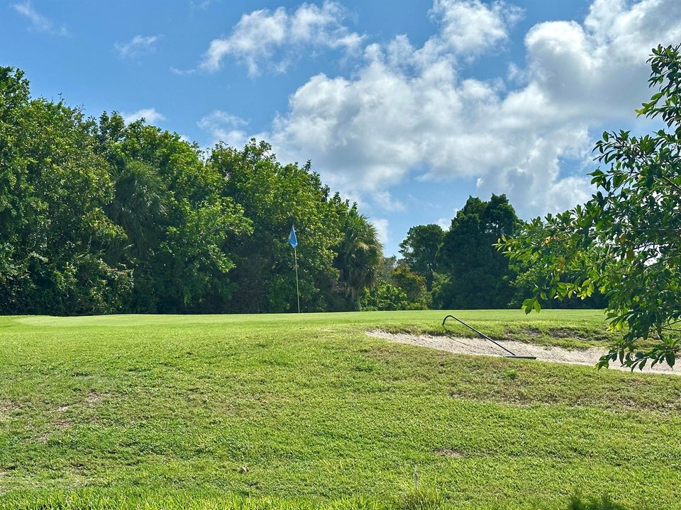 7th green