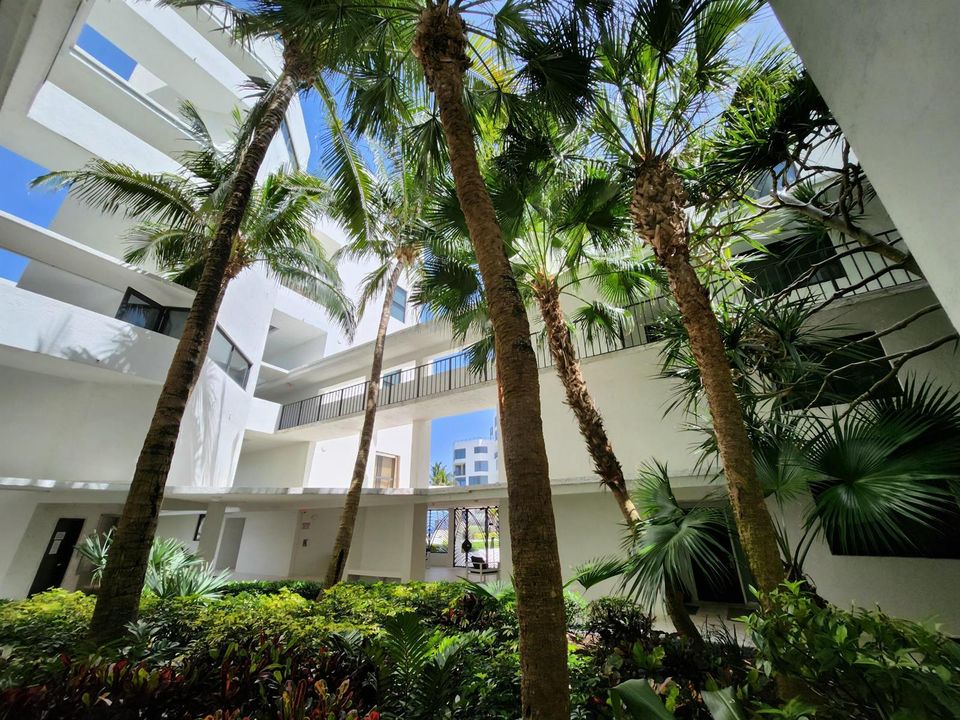 tropical courtyard