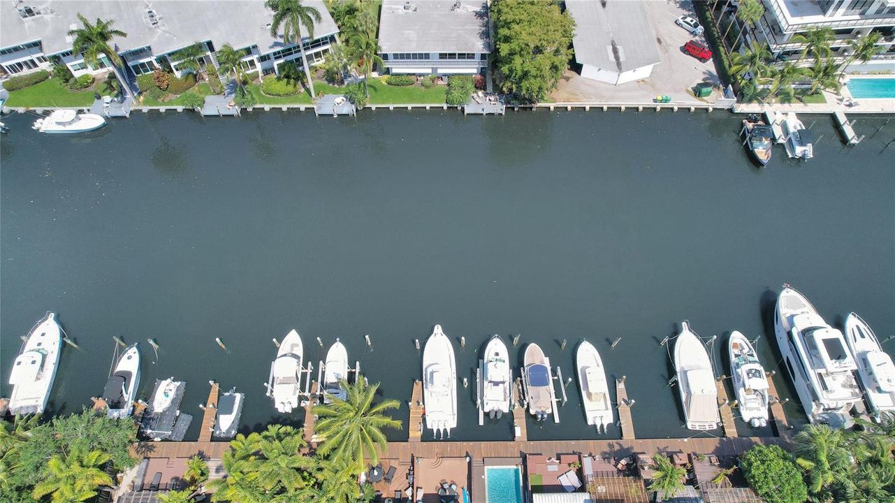 Birdseye View