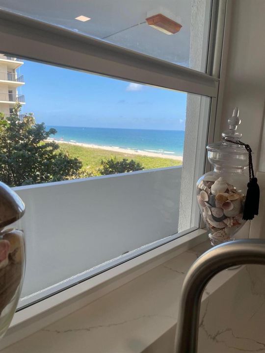 Kitchen View