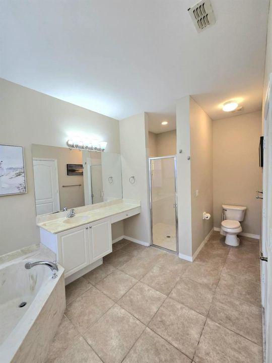 Master Bathroom 2