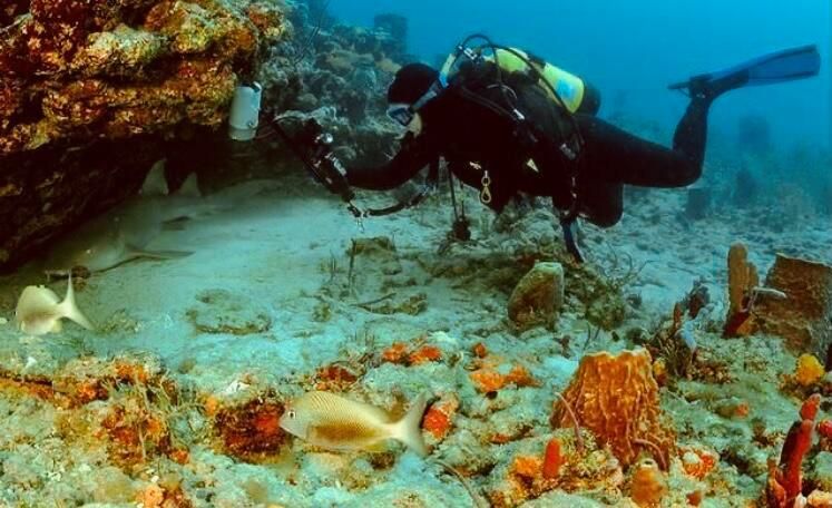 DIVING
