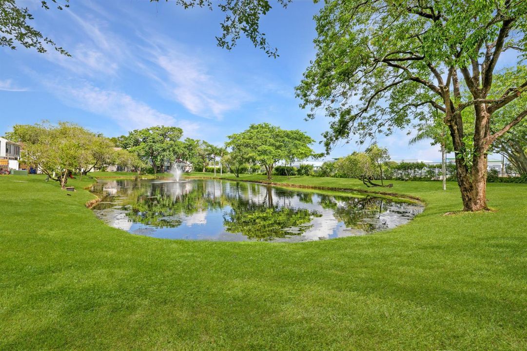 Pond View