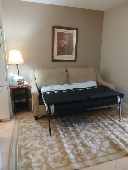 Convertible Sofa