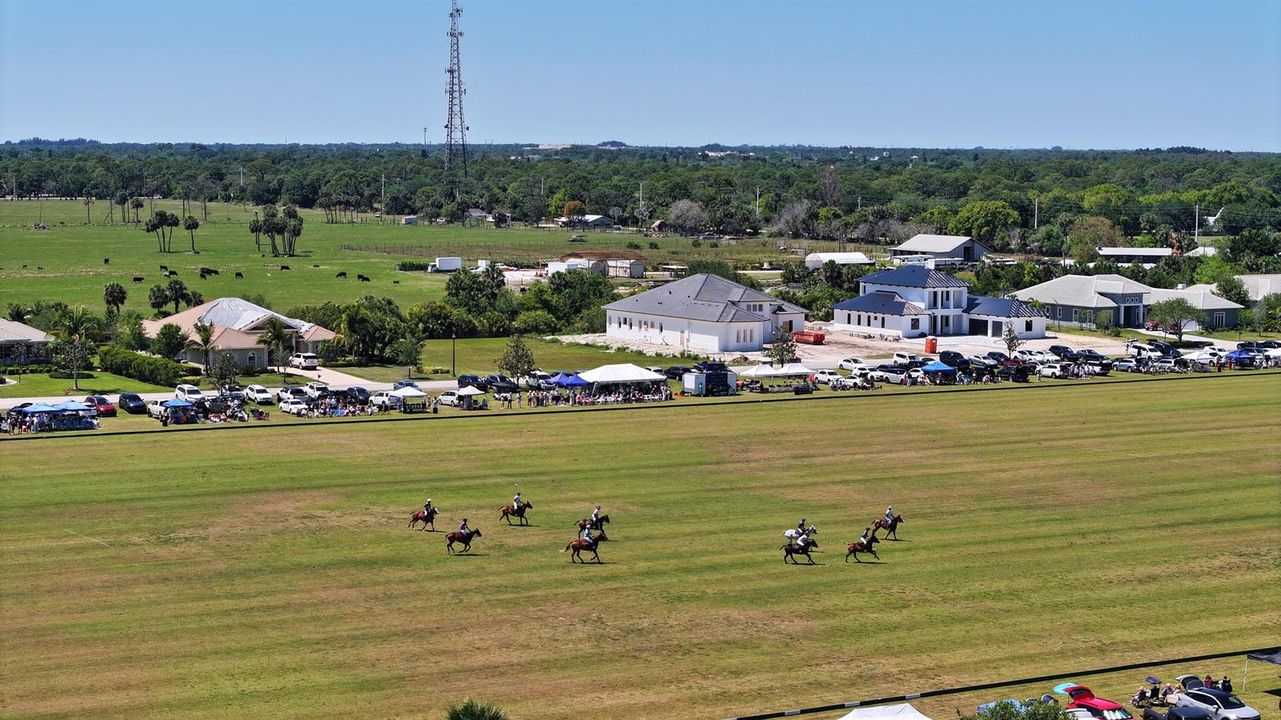 Polo Match in Season