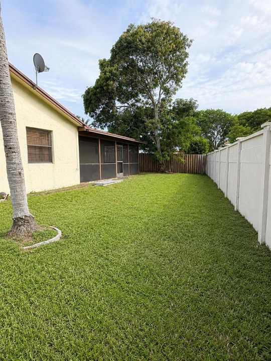Backyard
