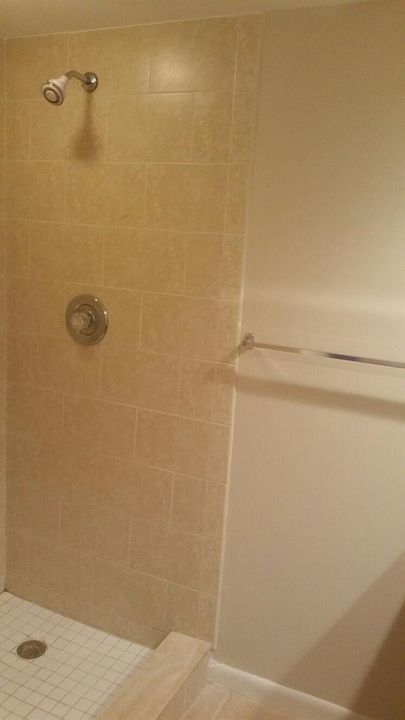 Master Shower 2