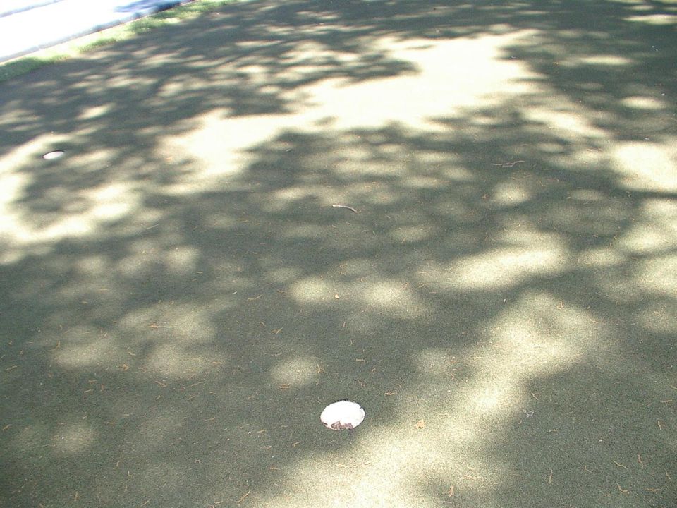 IMGP1567