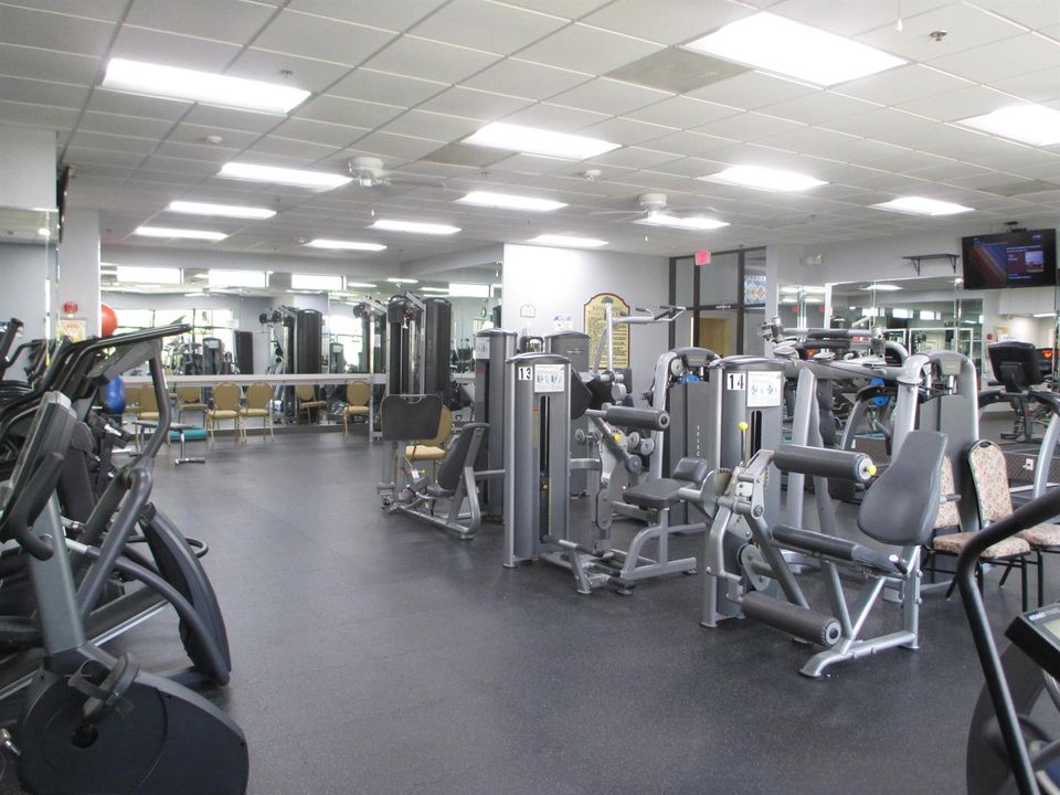 Gymn