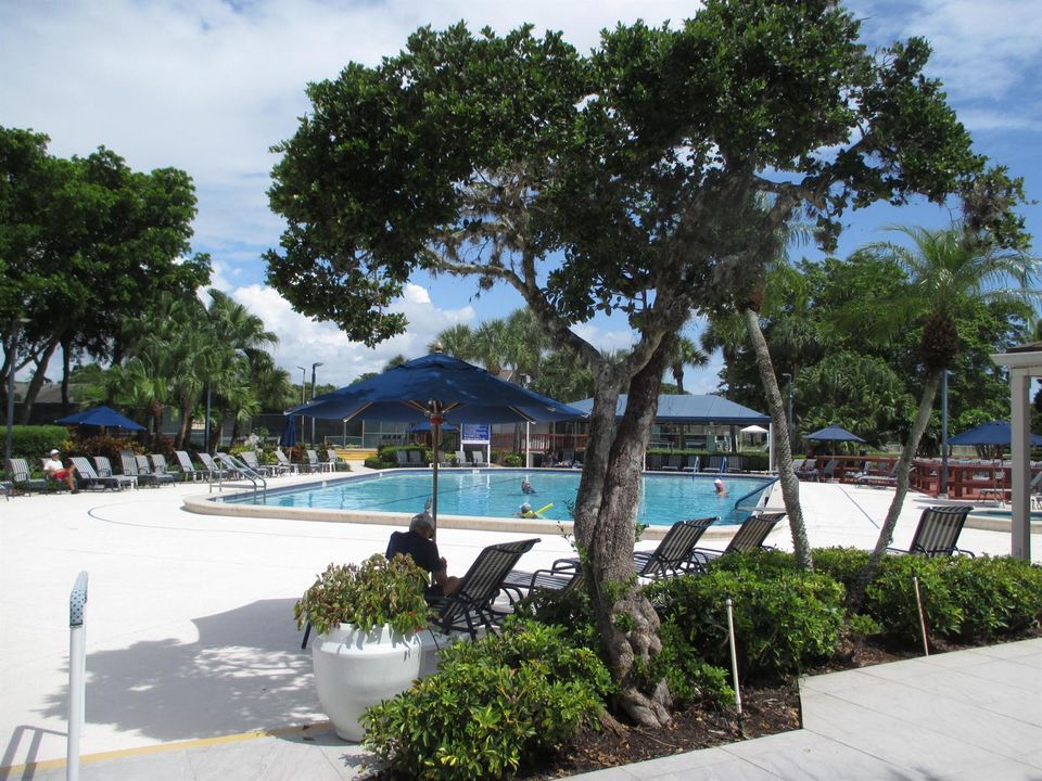 Main Pool