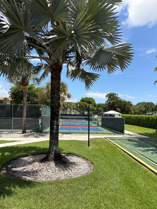Pickel Ball Courts