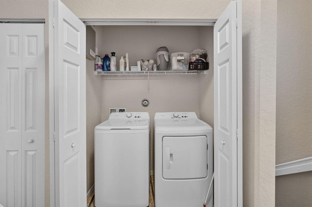 50-web-or-mls-5D1A6136