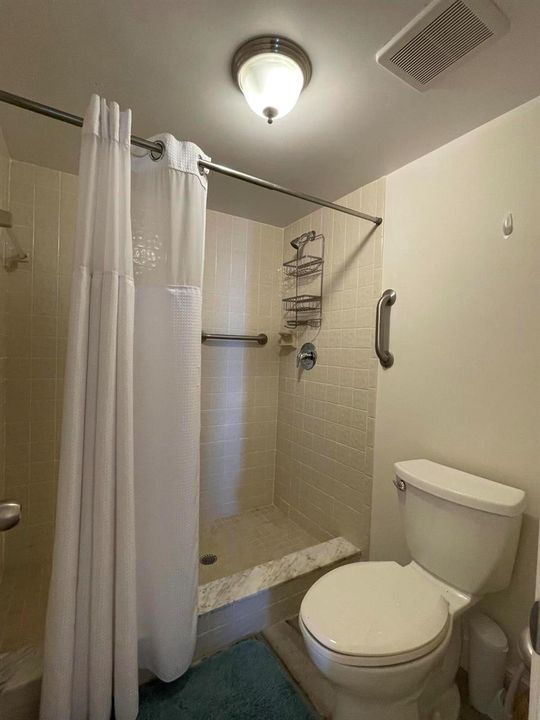 walk-in shower primary bath