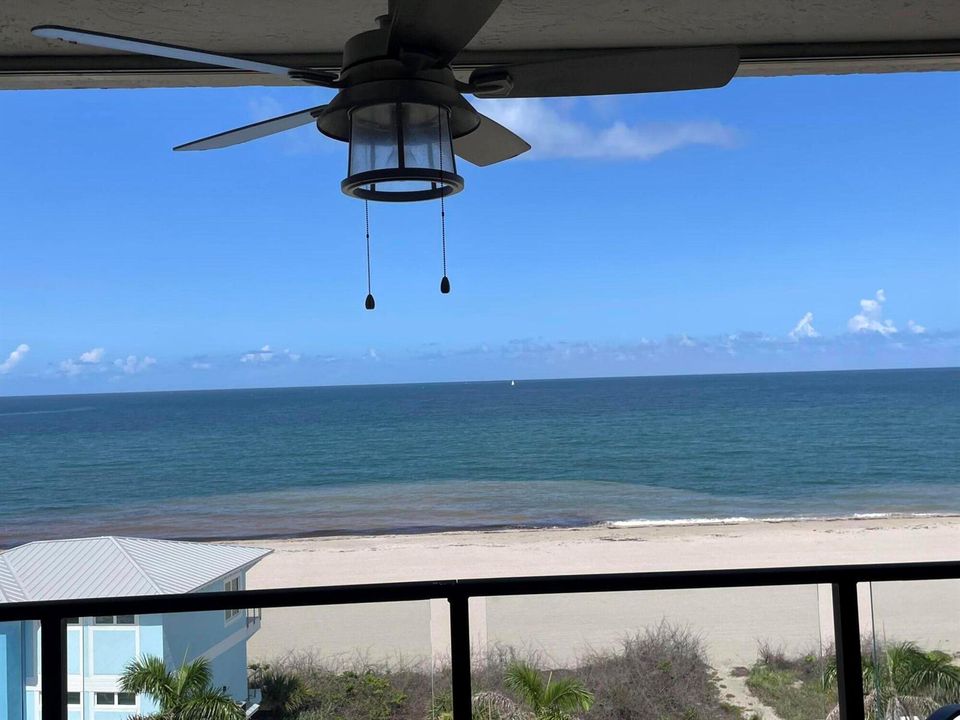 patio from living room