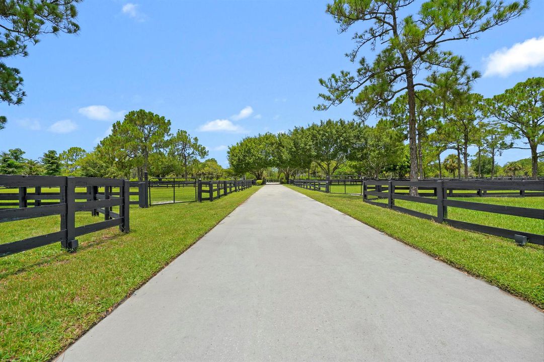 Driveway lined with paddocks