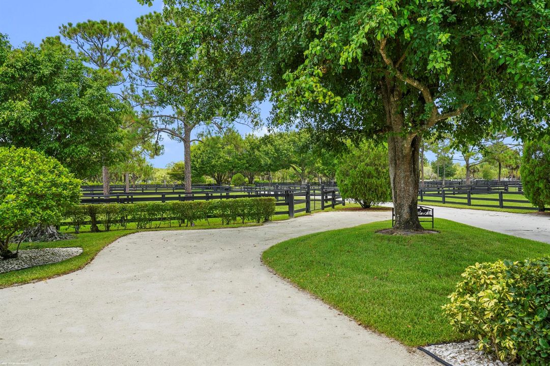 Driveway