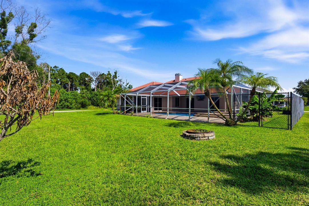 Backyard