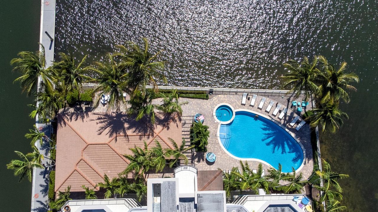 Arial of Pool
