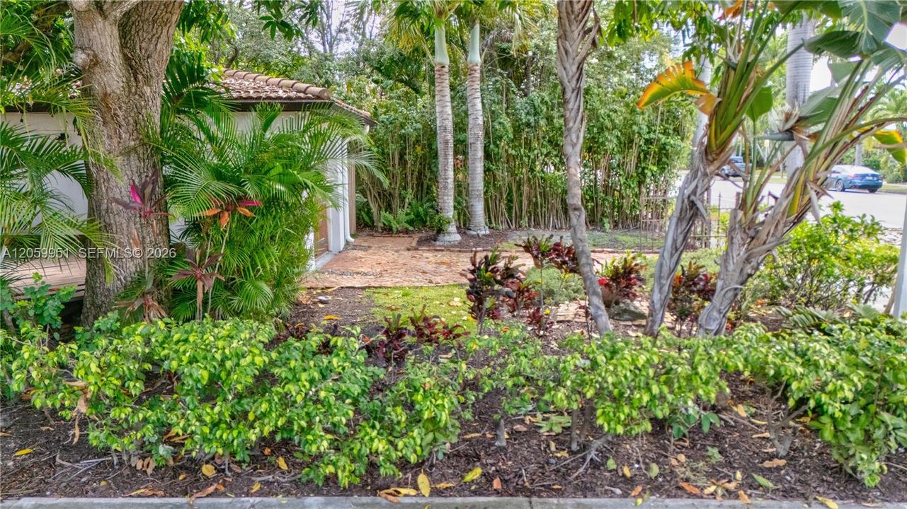SIDE YARD