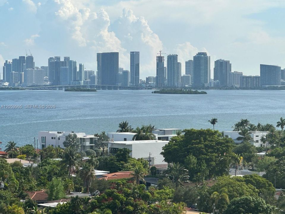 Downtown Miami View