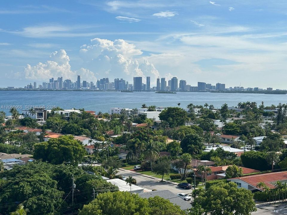 Miami Skyline