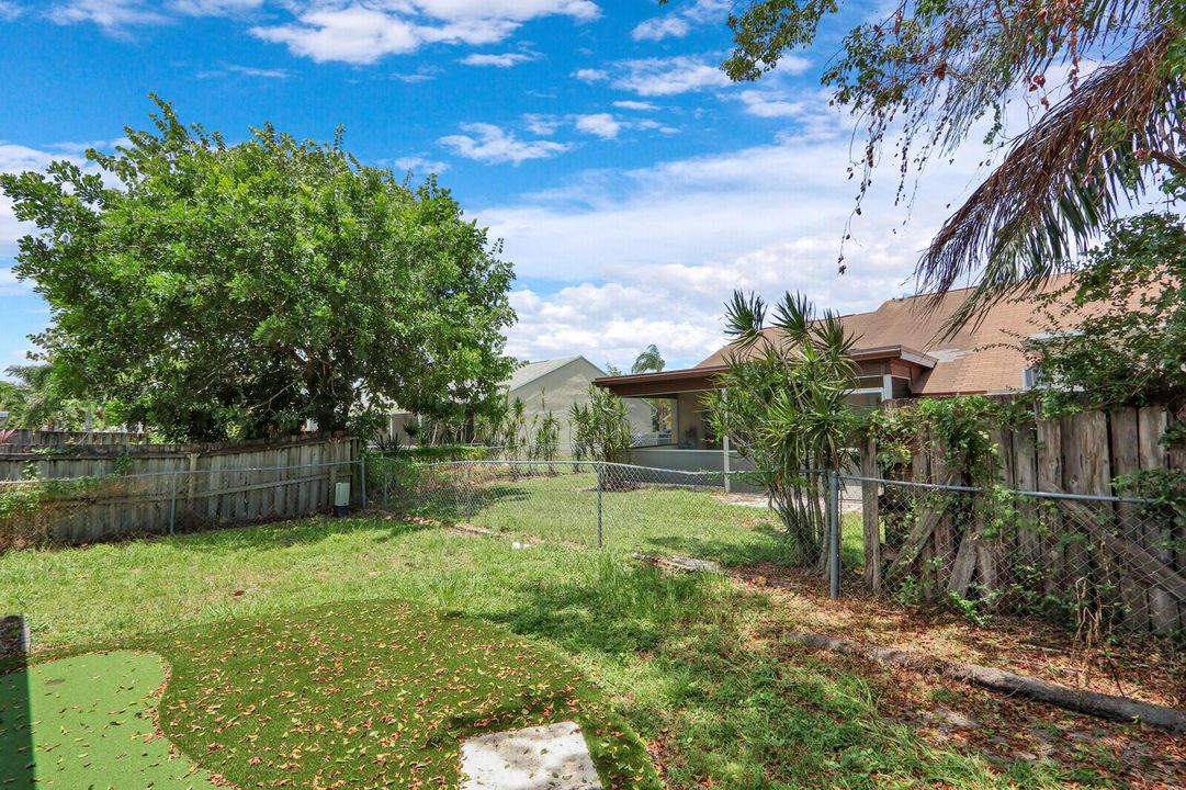 Backyard