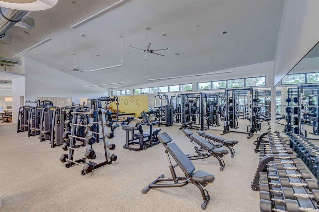 gym