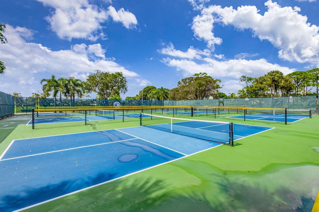 pickle ball 3