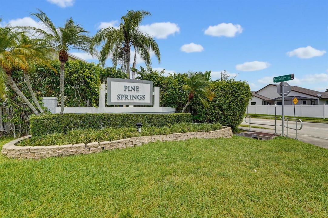 Pine Springs Entry