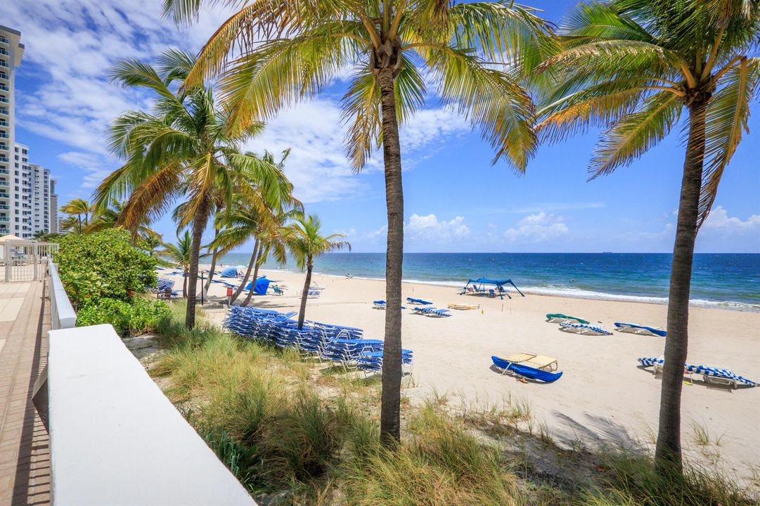 Playa Del Sol Beach