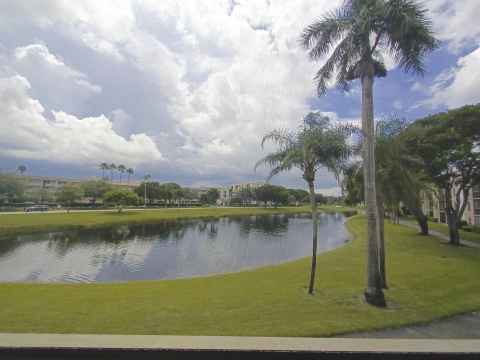 View from Balcony