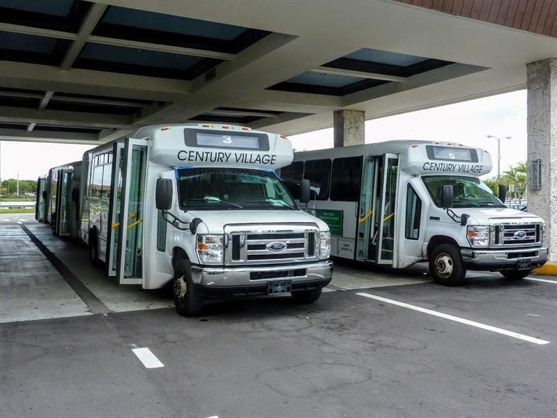 buses