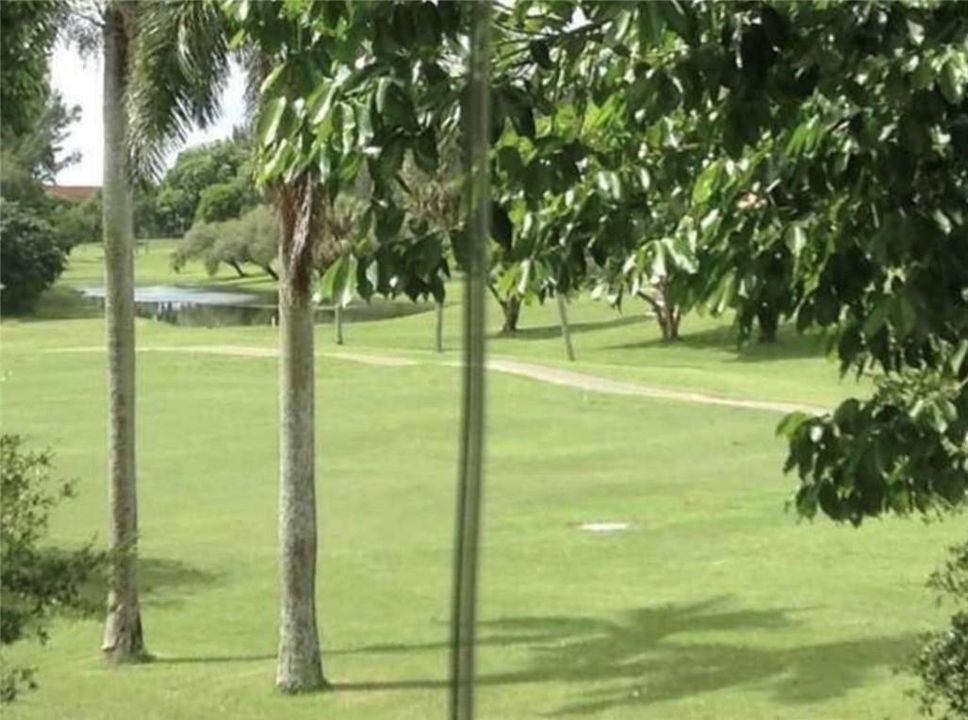 Serene and Relaxing Golf Course Views
