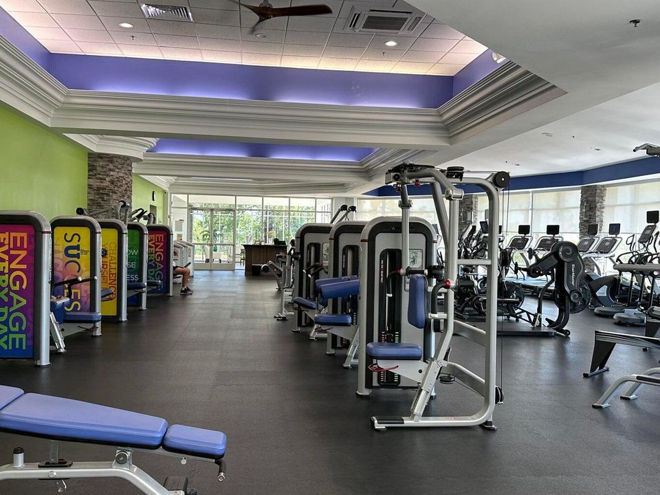 OTOW Arbor Gym