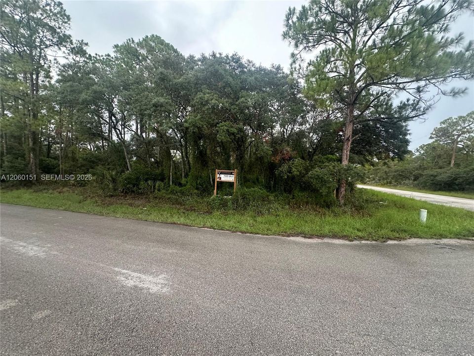 待售: $45,000 (0.52 acres)