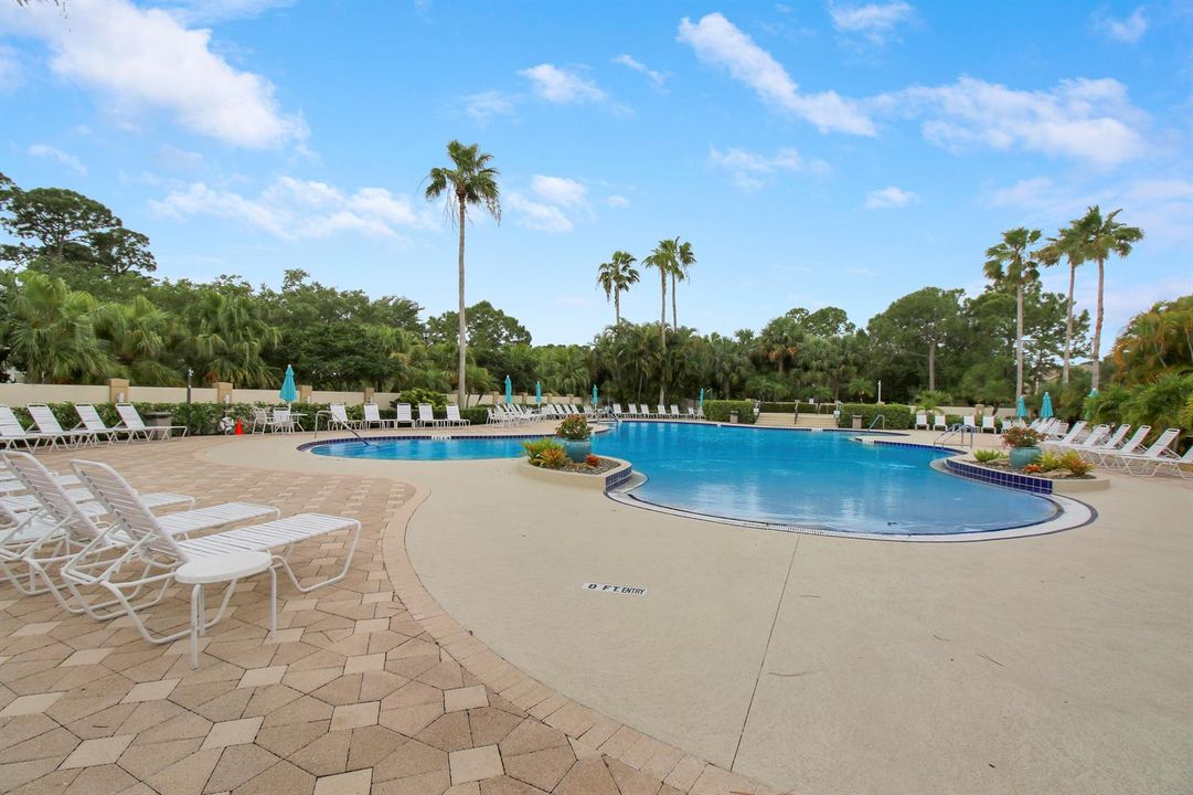 Castle Pines Pool