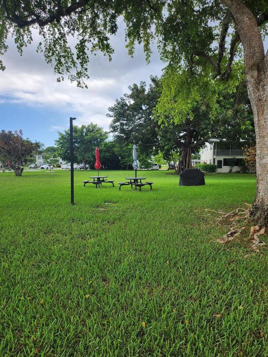 74 Newport E Deerfield barbecue