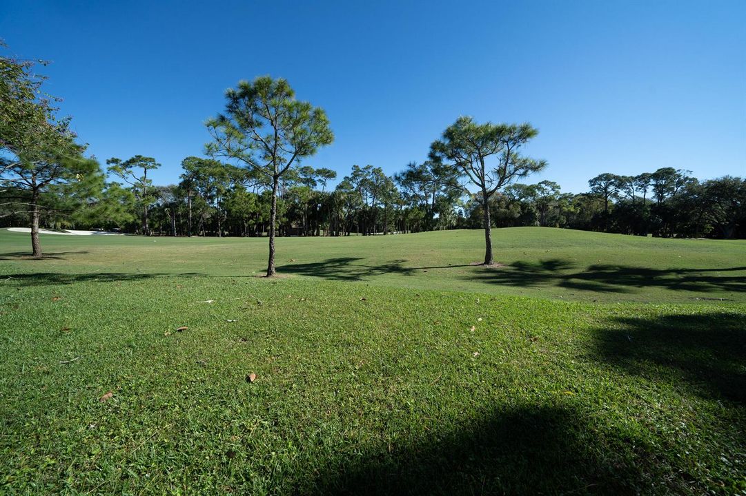 Golf Views